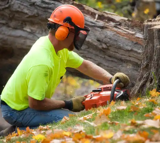 tree services Fincastle